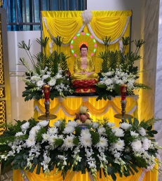DỊCH VỤ HỎA TÁNG